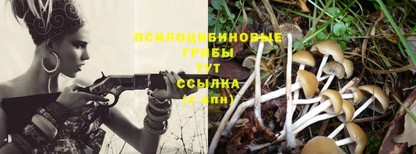 гашик Абдулино