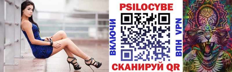 Галлюциногенные грибы Psilocybe  Ковров 